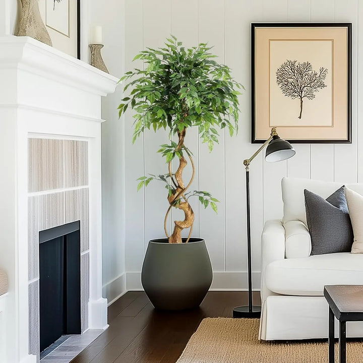 Riva™ | Lebensechter Ficusbaum mit geschwungenem Stamm
